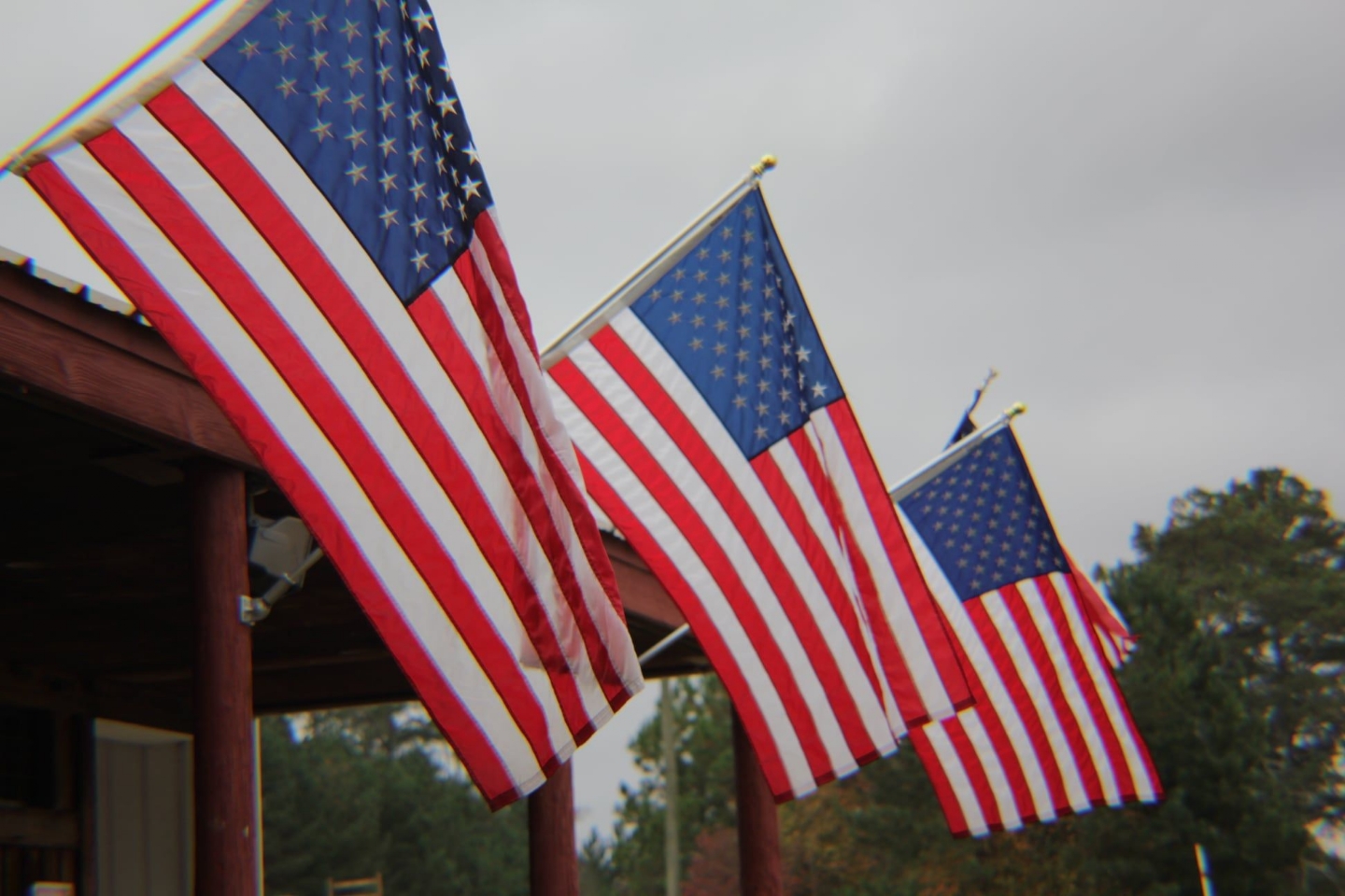 Our American Flag and the flags of all our Branches of Service.